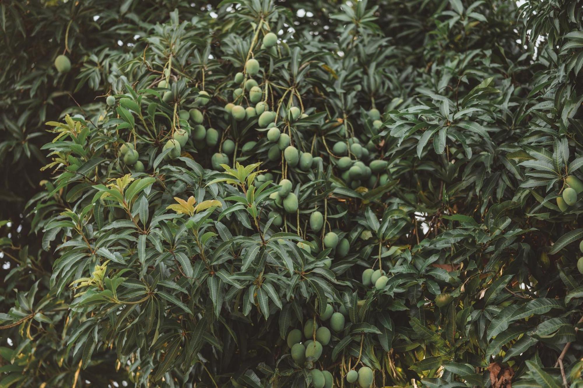 Pousada Duas Marias Lindoia Bagian luar foto