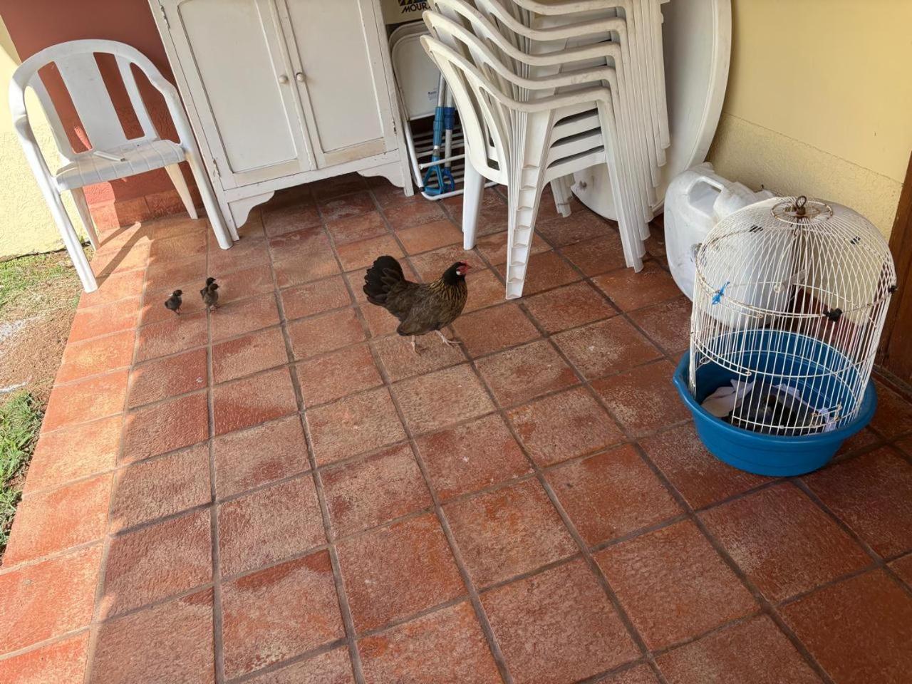 Pousada Duas Marias Lindoia Bagian luar foto